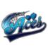 奈克王牌